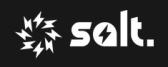 Salt logo